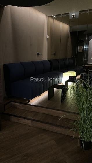 Inchiriere spatiu comercial calea Victoriei nr 100 Subsol - 2