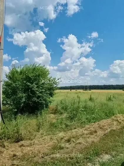 11 Loturi Teren Intravilan | 430 mp / lot | Acces Rapid A2 | Ideal Dezvoltare - 4