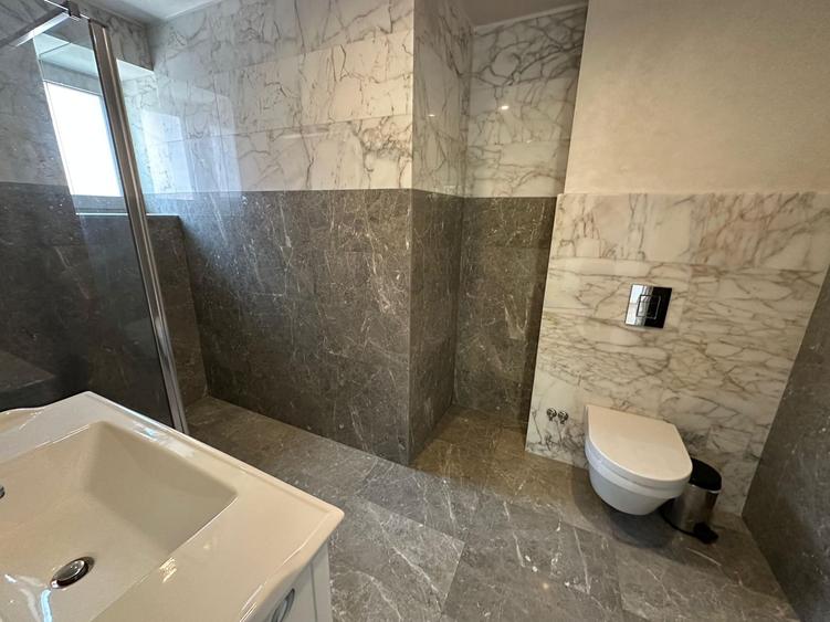 Vila Eleganta cu Piscină și Finisaje Premium în Zona Rezidentiala Iancu Nicolae