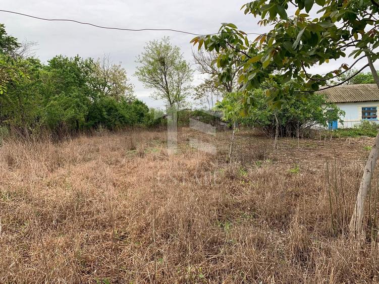 Teren intravilan 2562mp Loc 23 August | Ideal locuiță sau casă vacanță
