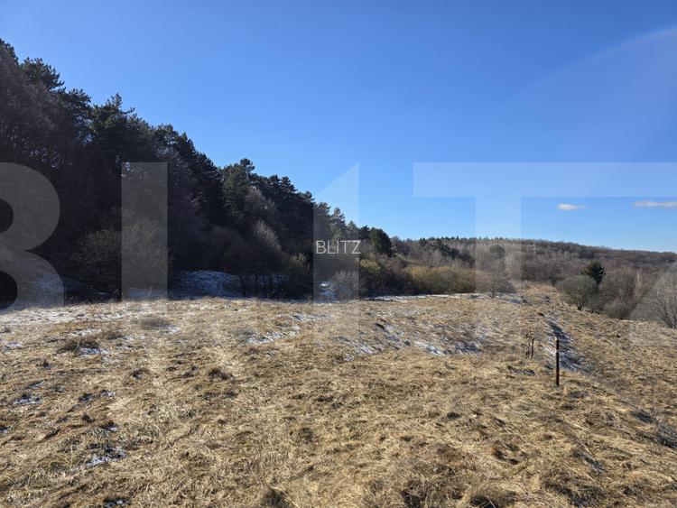 Teren intravilan 4000 mp | Panoramă superbă | Lângă statia meteo - 7