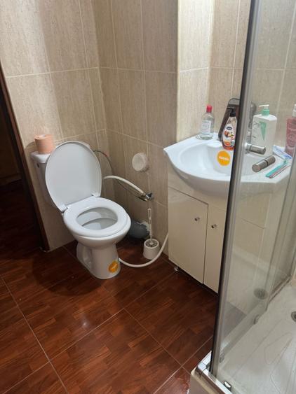 Garsonieră mobilată și utilată, 30 mp, cartierul Brazda lui Novac