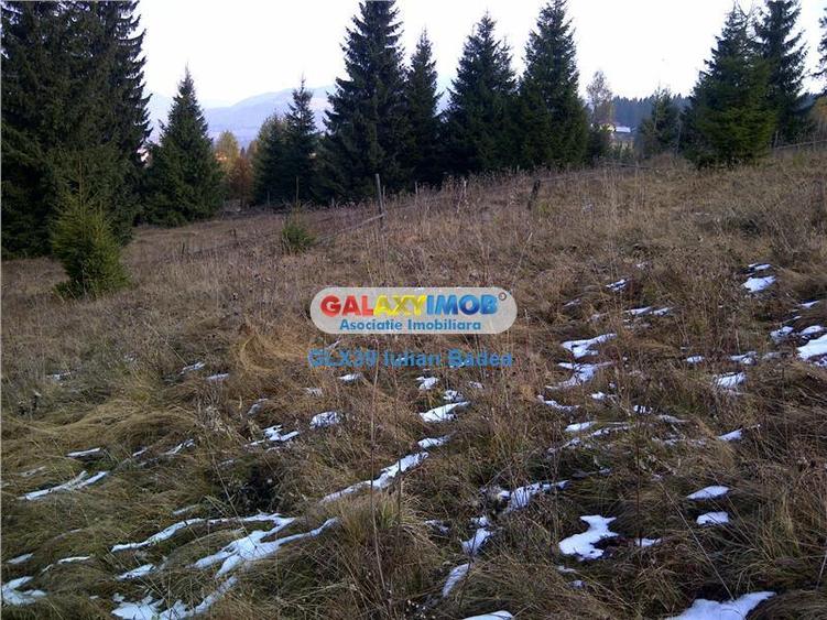 Teren pentru Complex Turistic - 12 730 mp - Vatra Dornei
