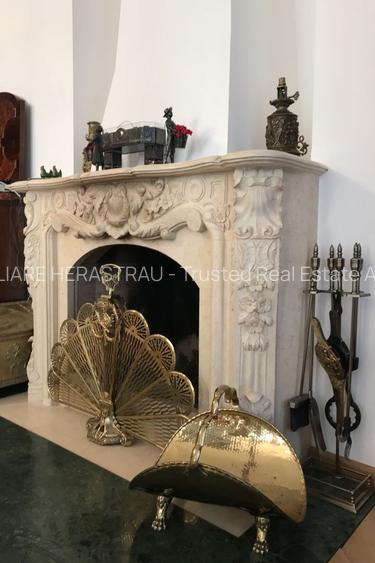 Conac neoromânesc în stil brâncovenesc | 600 mp utili | Domeniu de 2.400 mp - 7