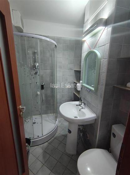 Inchiriere Apartament 2 camere decomandat Alexandru cel Bun - 8