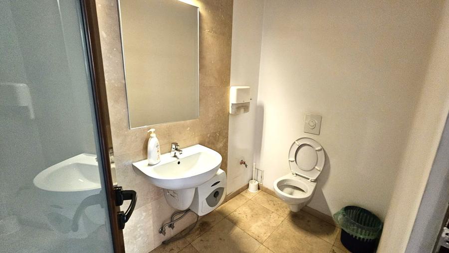 Vanzare vila complet renovata,ideal birou, 450mp Stefan Cel Mare Lizeanu