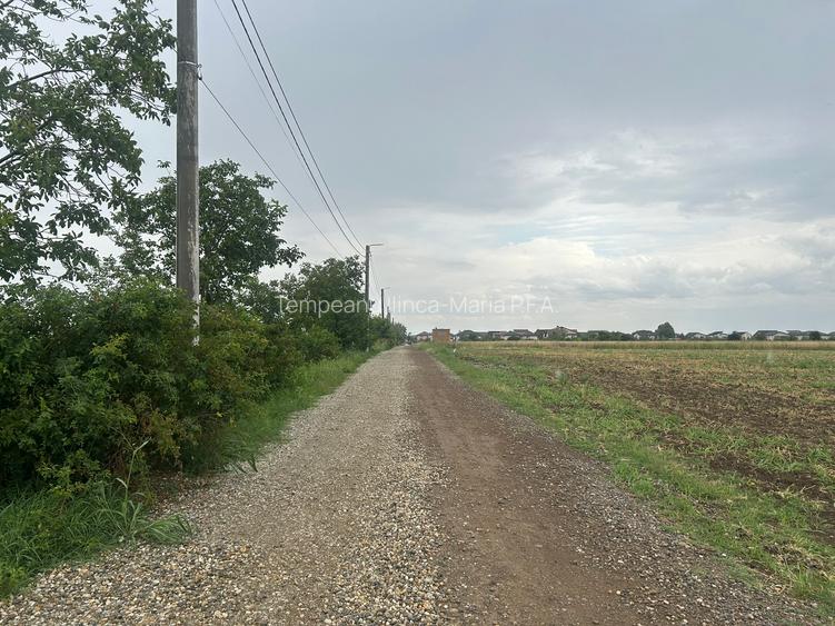 Vanzare Teren Extravilan 20.113 mp Otopeni Odai deschidere la 2 strazi, - 2