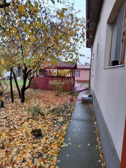 ILFOV - SE VINDE CASA IN ISLAZ / COM. BRANESTI - 45