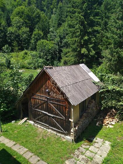 3 Cabane 15 camere 275 mp-teren 1020 mp-ciubar-foisor-Colibita