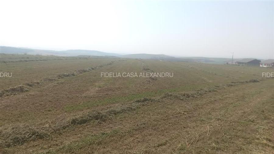 Teren pentru constructii case  de vanzare Iasi, Horlesti, - 2