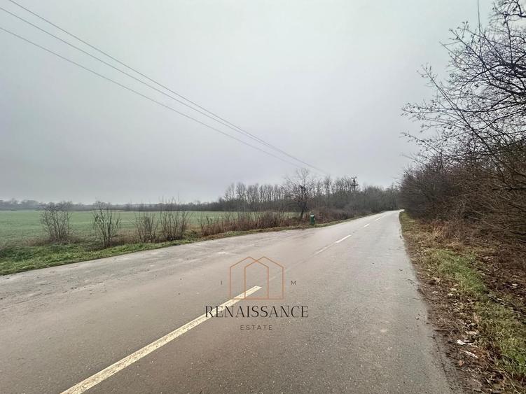 Giroc Teren 30.000mp PUZ APROBAT Pentru Case | Asfalt - Langa Padure