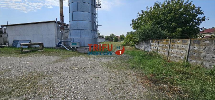 Hala de inchiriat Alba Iulia