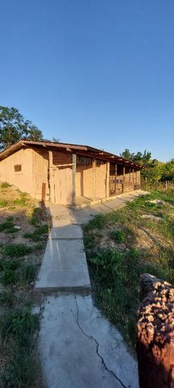Casa de vanzre Visinelu Mures