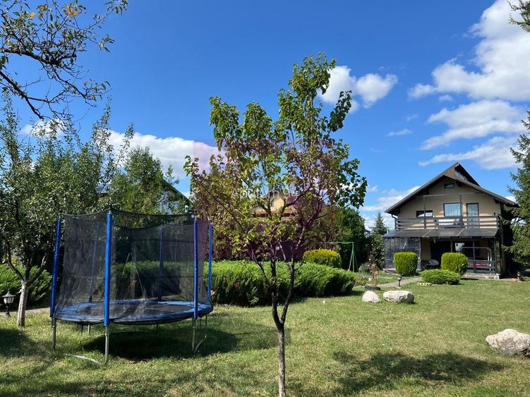 Vila cu 6 camere de vanzare in Brebu