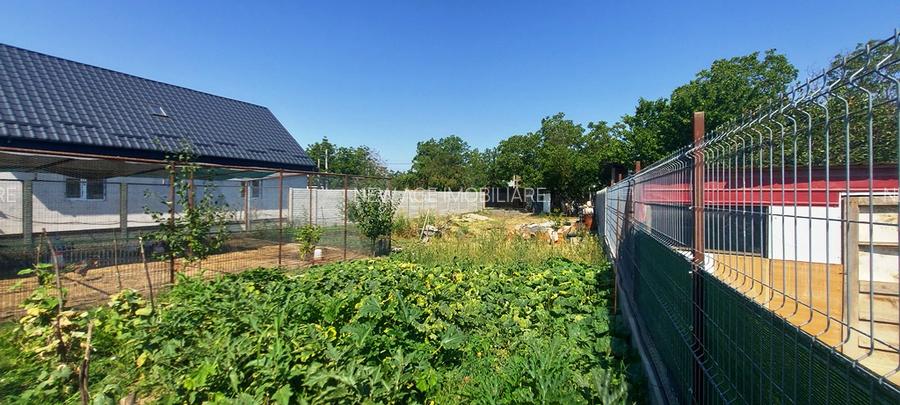 Cernica-Sat Posta, 600 m.p., toate utilitatile, ingradit,ideal investitie. - 14