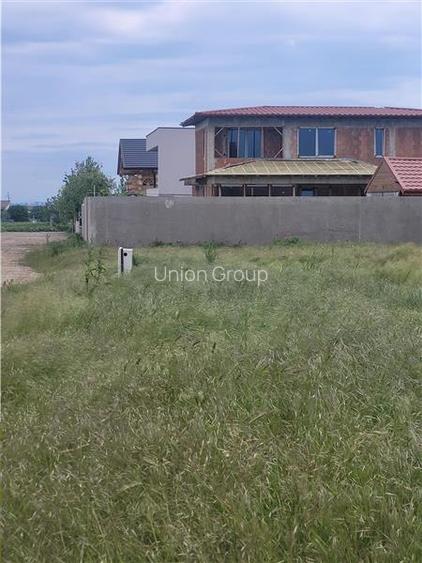 Teren Intravilan, Ovidiu, Spre Poiana,3 loturi de 302 mp fiecare - 4