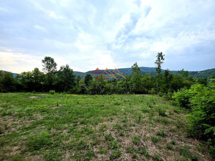 Teren Intravilan, utilitati in zona, 2600 mp, Draganeasa, Prahova
