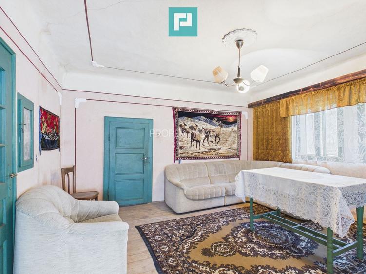 Proprietate rară cu 24.270 mp, în Măgulicea, Arad!