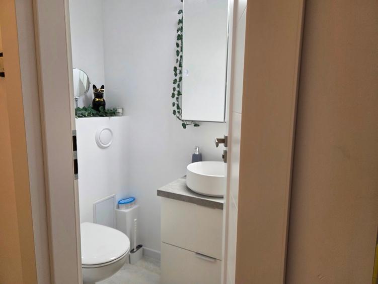 Apartament cu 3 camere și dependințe