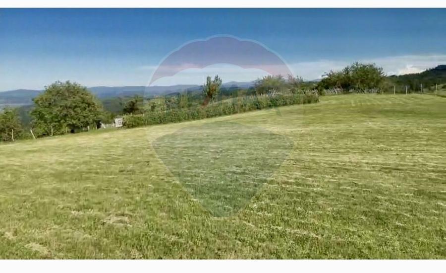 Teren 20.170mp | Livada | Suncuius, Bihor