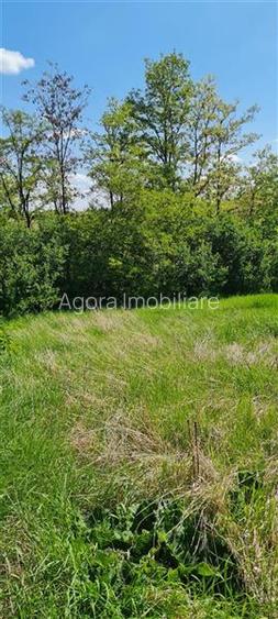 Suceava, Draguseni, teren cu casa batraneasca,   langa troita - 9