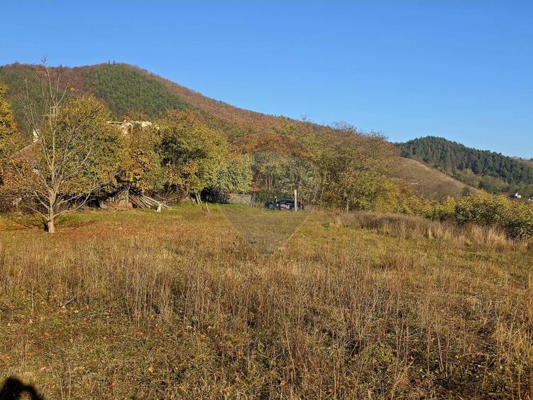 Teren 6,874mp Alexandru cel Bun / Strada plopusor