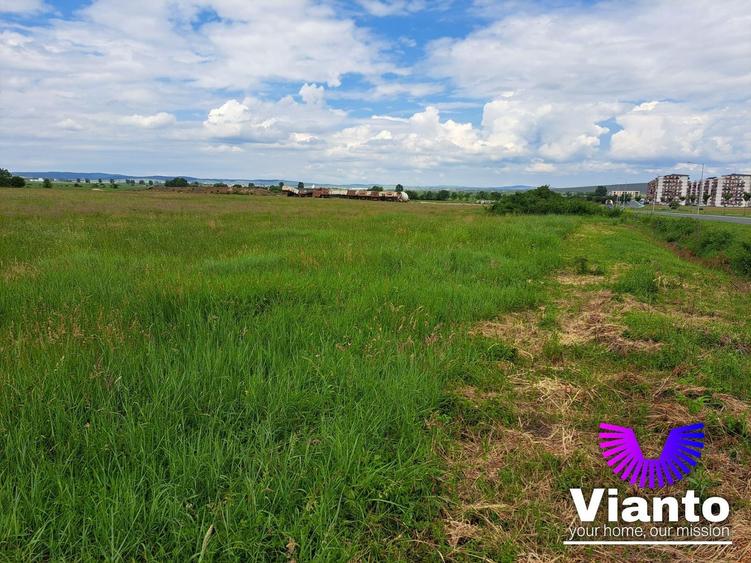 Oportunitate Teren Intravilan 9000mp-Turnisor
