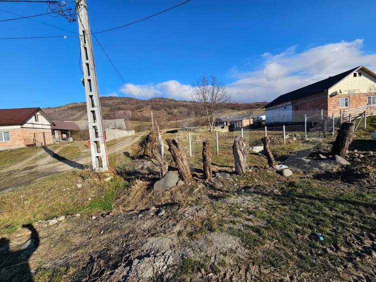 Teren Intravilan Dumitrita - 7