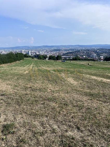 Oportunitate de investiție Teren intravilan, 3150 mp , Panoramic , Dambu Rotund