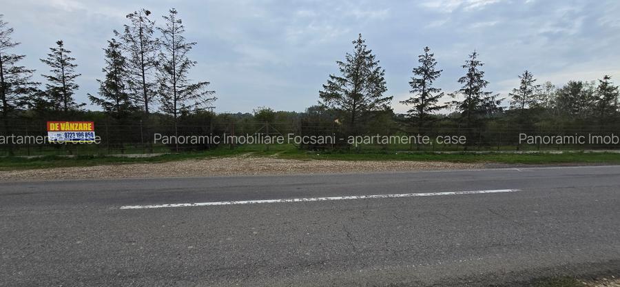 LIVADA  DE VANZARE FOCSANI-DUMBRAVITA  1,8  HA - 21