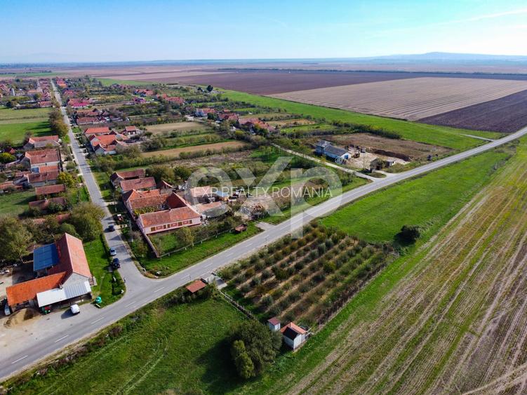 Teren cu livadă de vânzare – Sârbova, poziție excelentă! - 2