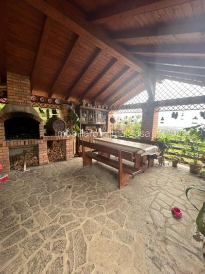 VILA P+M 150mp si bucatarie vara cu barbeque 30mp! - 3