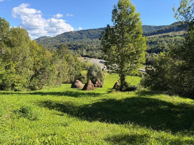 Teren intravilan 1.847 mp – Valea Doftanei, Teșila
