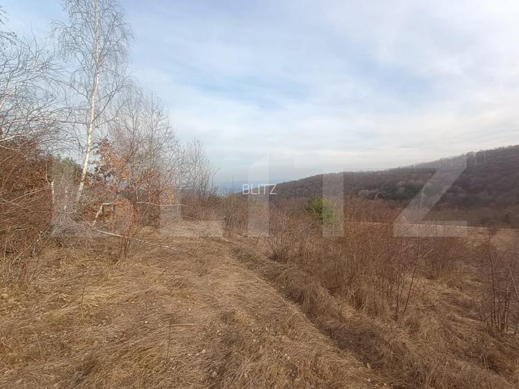 Teren extravilan, 12000 mp, curent com. Ramet - 3