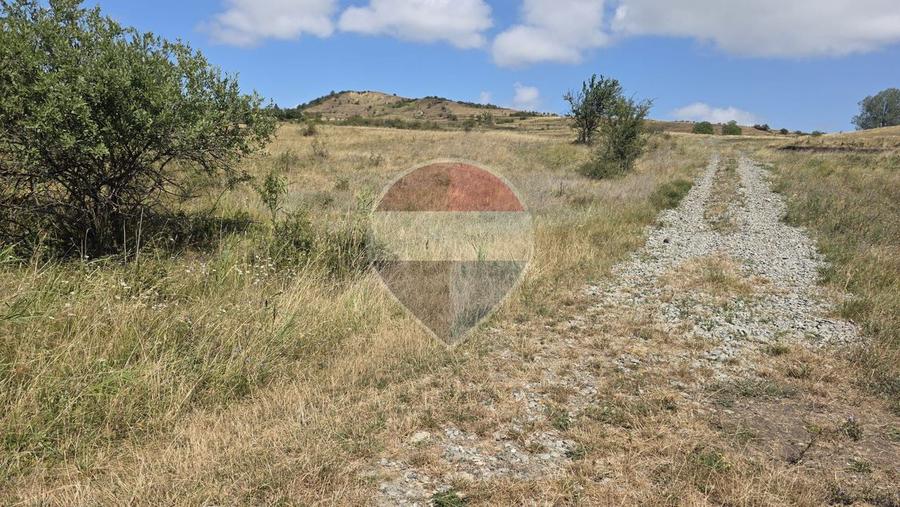 Teren intravilan de vanzare 843 mp – Chinteni