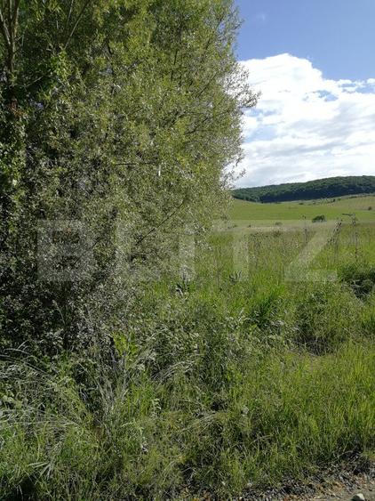 Teren intravilan 50 arii Tofalau Sat
