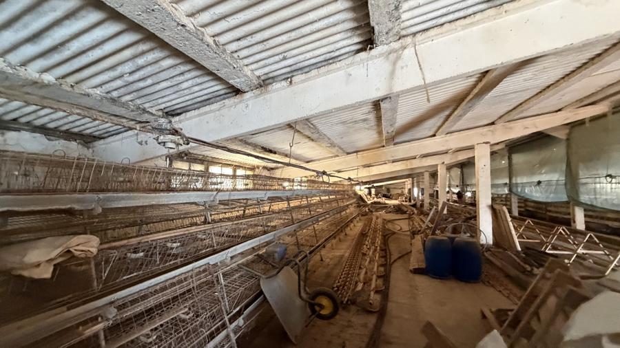 Hala industrială de vânzare în Beclean, Bistrița-Năsăud – 770 mp teren + cons