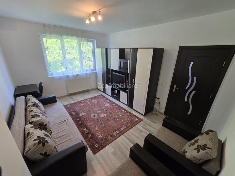 Apartament 2 camere,48 mp, semicentral - 22