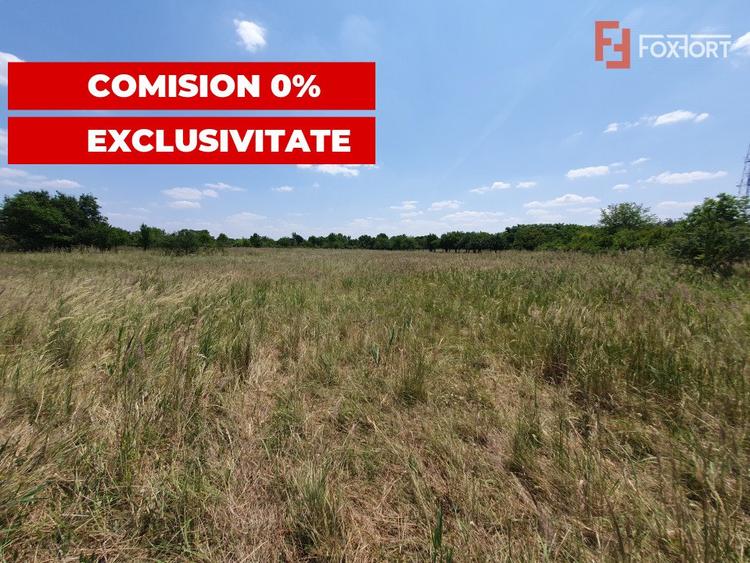 COMISION 0% Teren de vanzare intravilan de 5000 mp in Chisoda