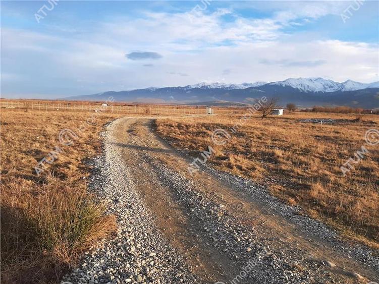 Teren extravilan 8400 mp de vanzare pe Valea Avrigului