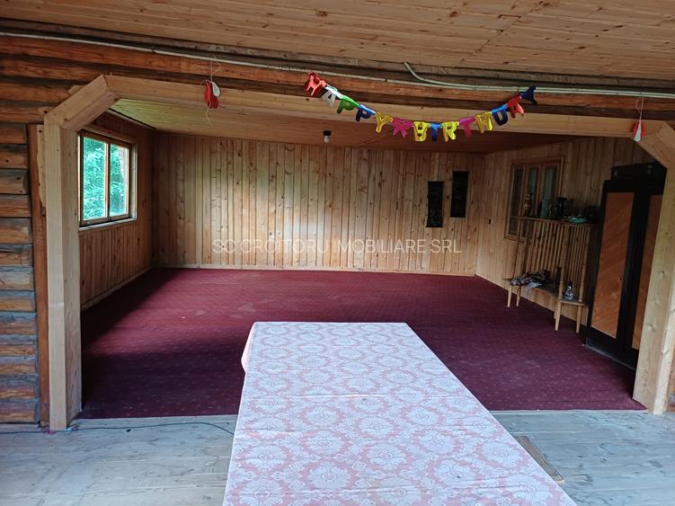 Vrancea - Nistoresti ! Vanzare ! Vila cu personalitate si potential turistic ! - 13