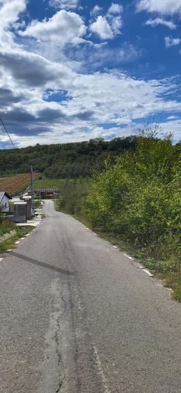 Teren Intravilan 2900mp Criseni - Pret 102.000eur neg