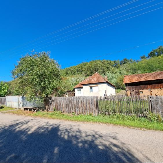 🏡 Casă de vânzare – Petriș, județul Arad / aproape de Deva - 3