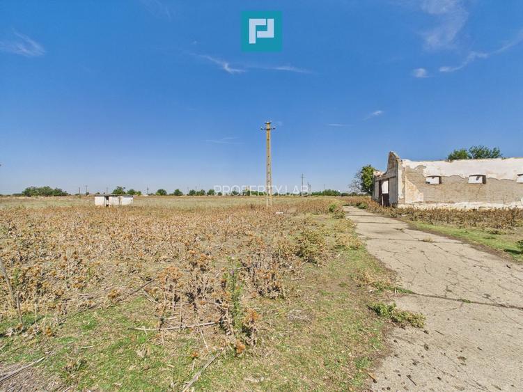 Teren intravilan 146.866 mp | Jimbolia - 12