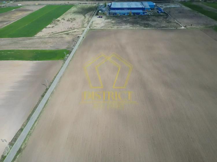 Teren extravilan - constructii industriale 5ha | Sag | Frigoglass