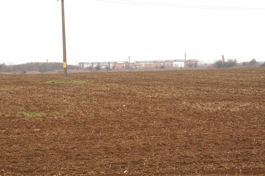OTOPENI - Str. Drumul Garii Balotesti, 30.400 mp. teren ideal dezvoltare imob.