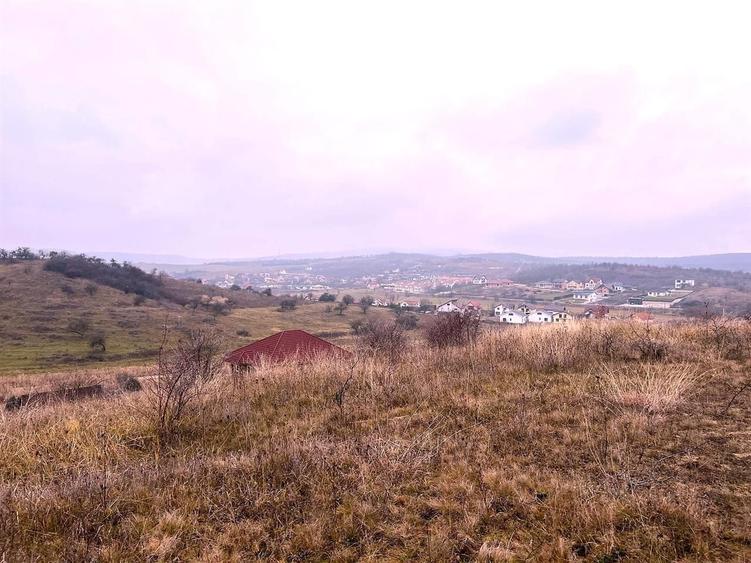Teren Extravilan Sigmir