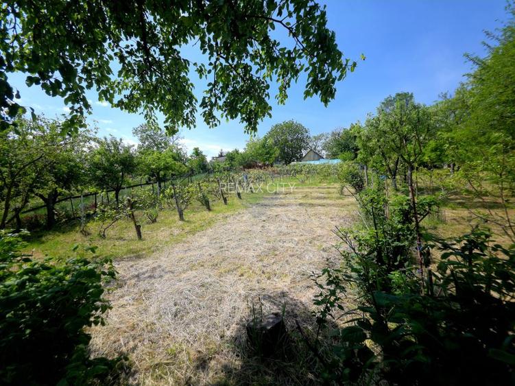 Teren intravilan 4,516mp Doina - 26