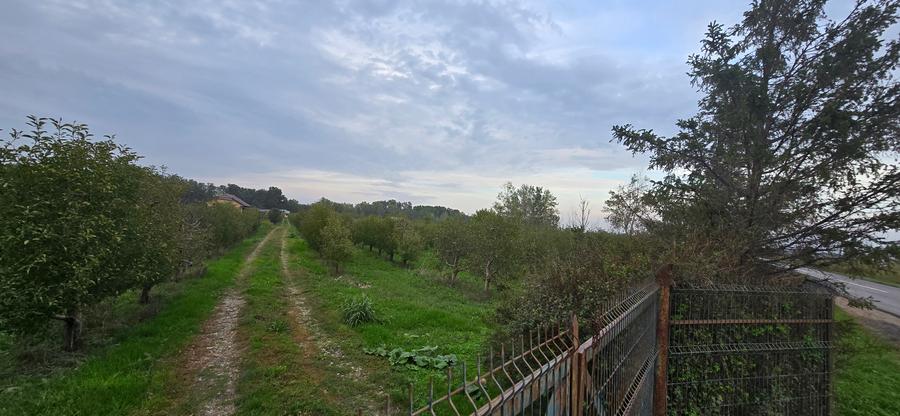 LIVADA DE VANZARE FOCSANI-DUMBRAVITA 1,8 HA