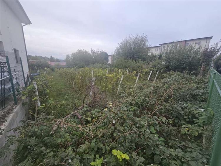 Teren pentru constructii case de vanzare Iasi, Valea Lupului,